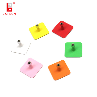 Laipson TPU 30mm Tpu Square Livestock Pig Swine Sheep Ear Tag For Farm Tracking