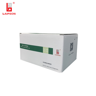 Convenient Swine Fever Virus Antibody Detection ELISA Kit for Swine Fever Outbreak Prevention