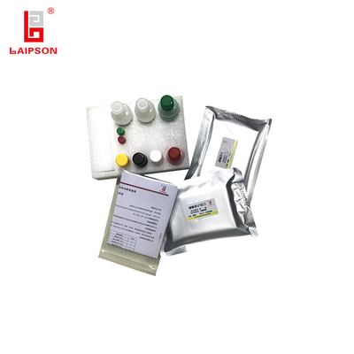 Convenient Swine Fever Virus Antibody Detection ELISA Kit for Swine Fever Outbreak Prevention