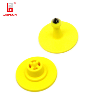 Plastic TPU Custom Colorful Rabbit Hare Ear Tag Livestock Marking Tag For Farm