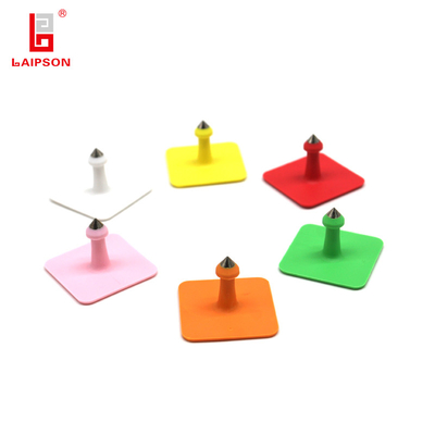 Square Basf Tpu Mini Animal Ear Tag With Metal Tip For Pig Sheep Cow Farm